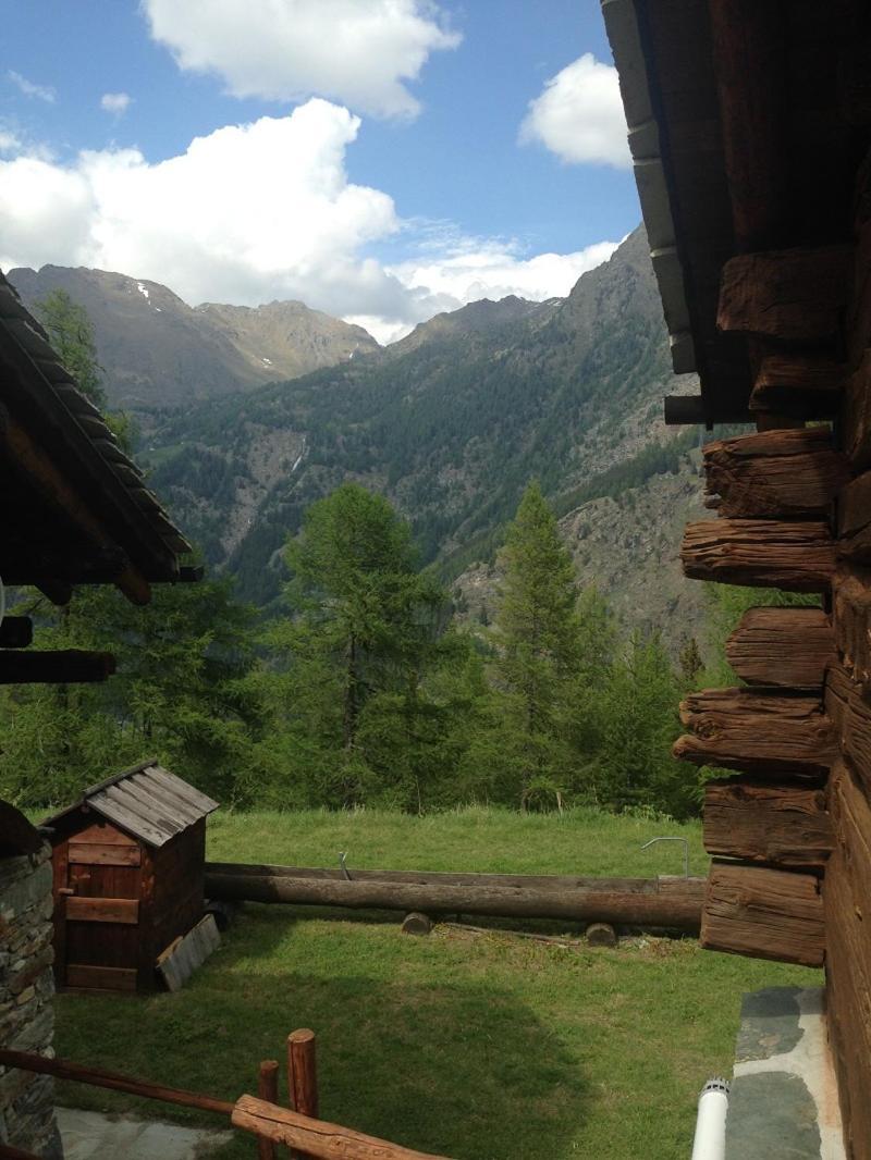 Baite Cialvrina Villa Gressoney-Saint-Jean Exterior foto