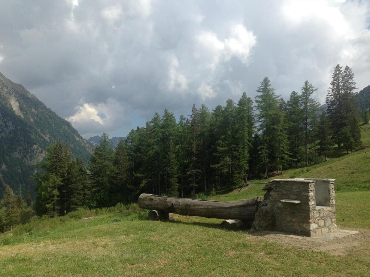 Baite Cialvrina Villa Gressoney-Saint-Jean Exterior foto