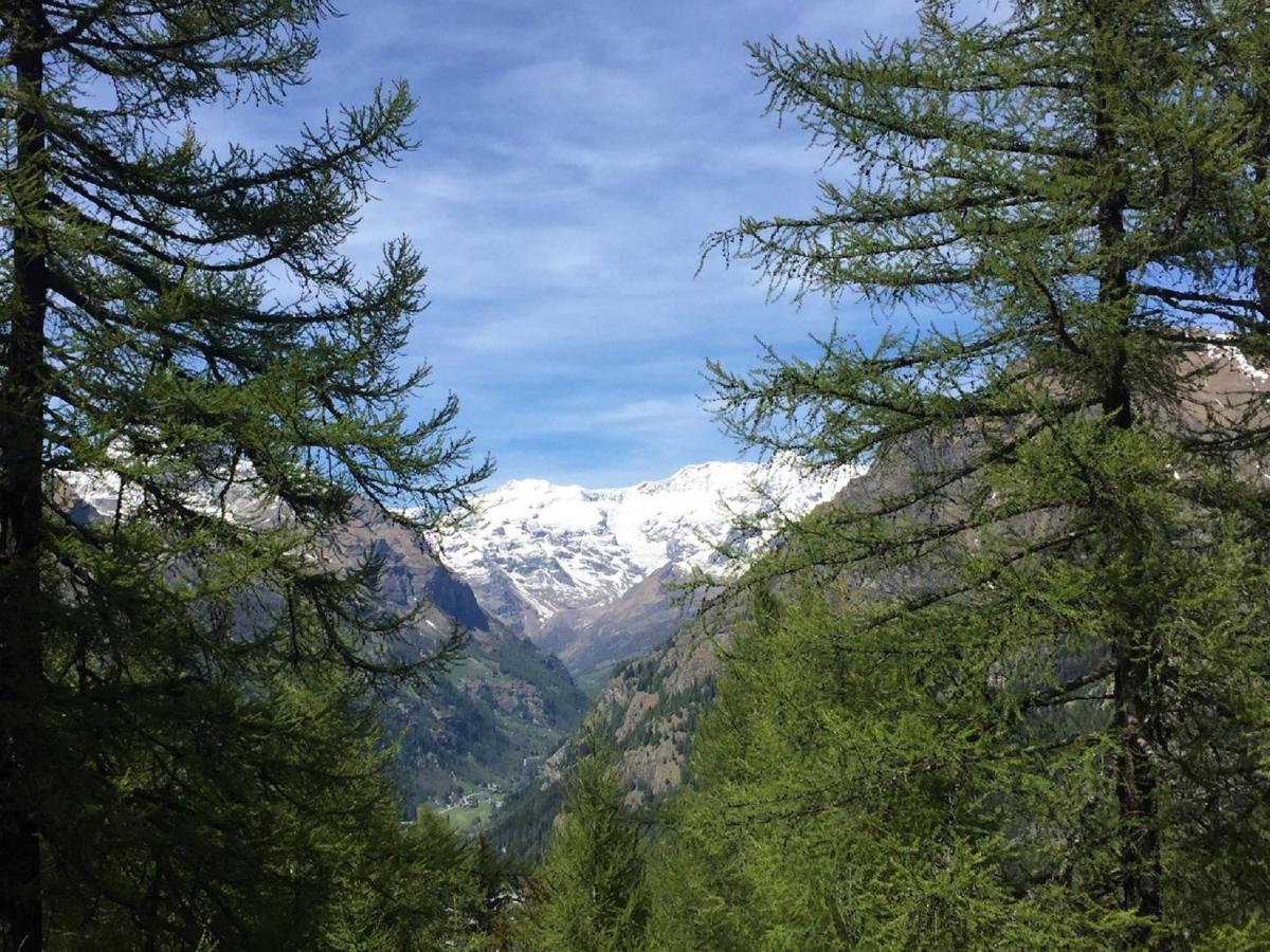 Baite Cialvrina Villa Gressoney-Saint-Jean Exterior foto