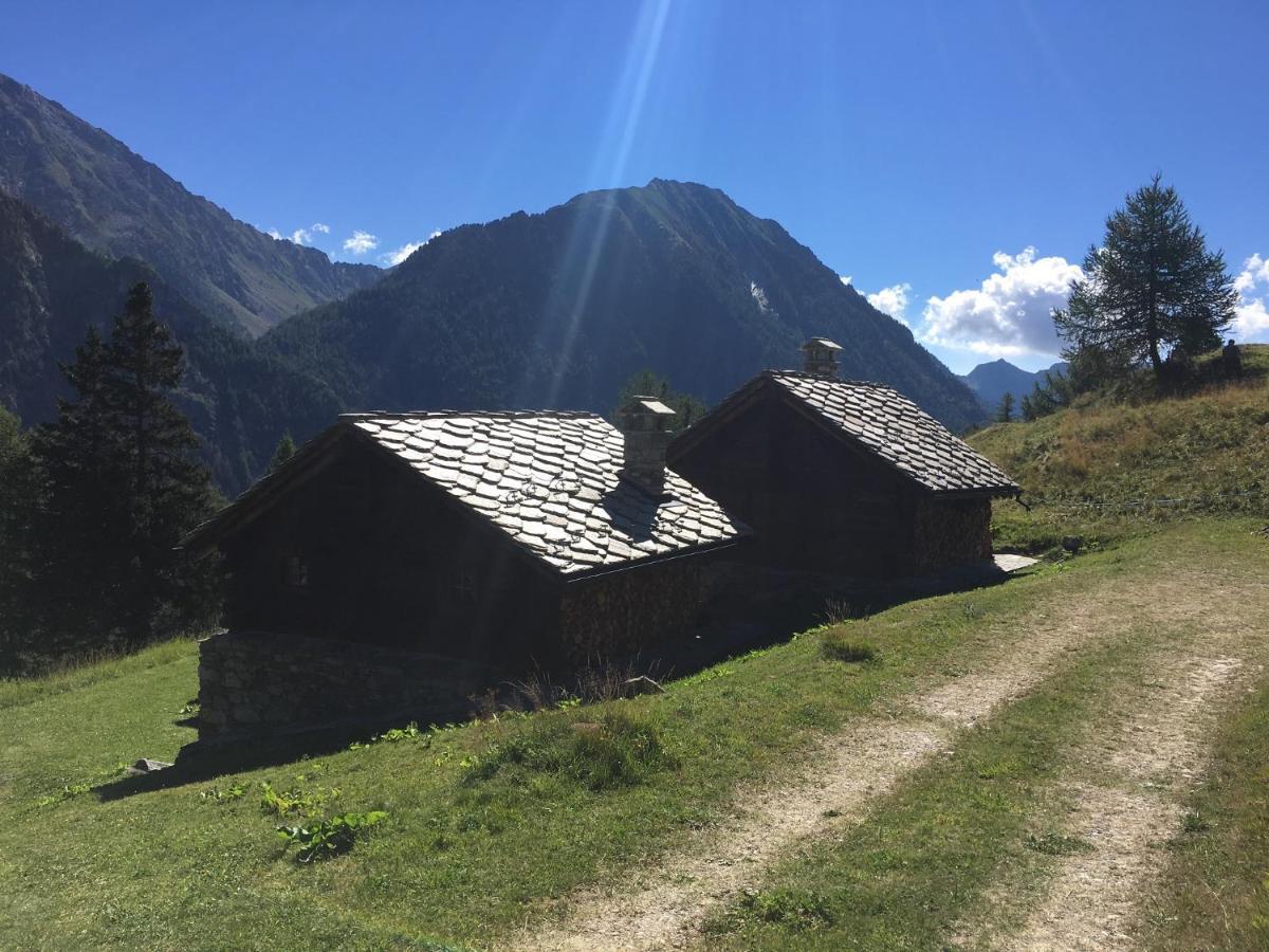 Baite Cialvrina Villa Gressoney-Saint-Jean Exterior foto