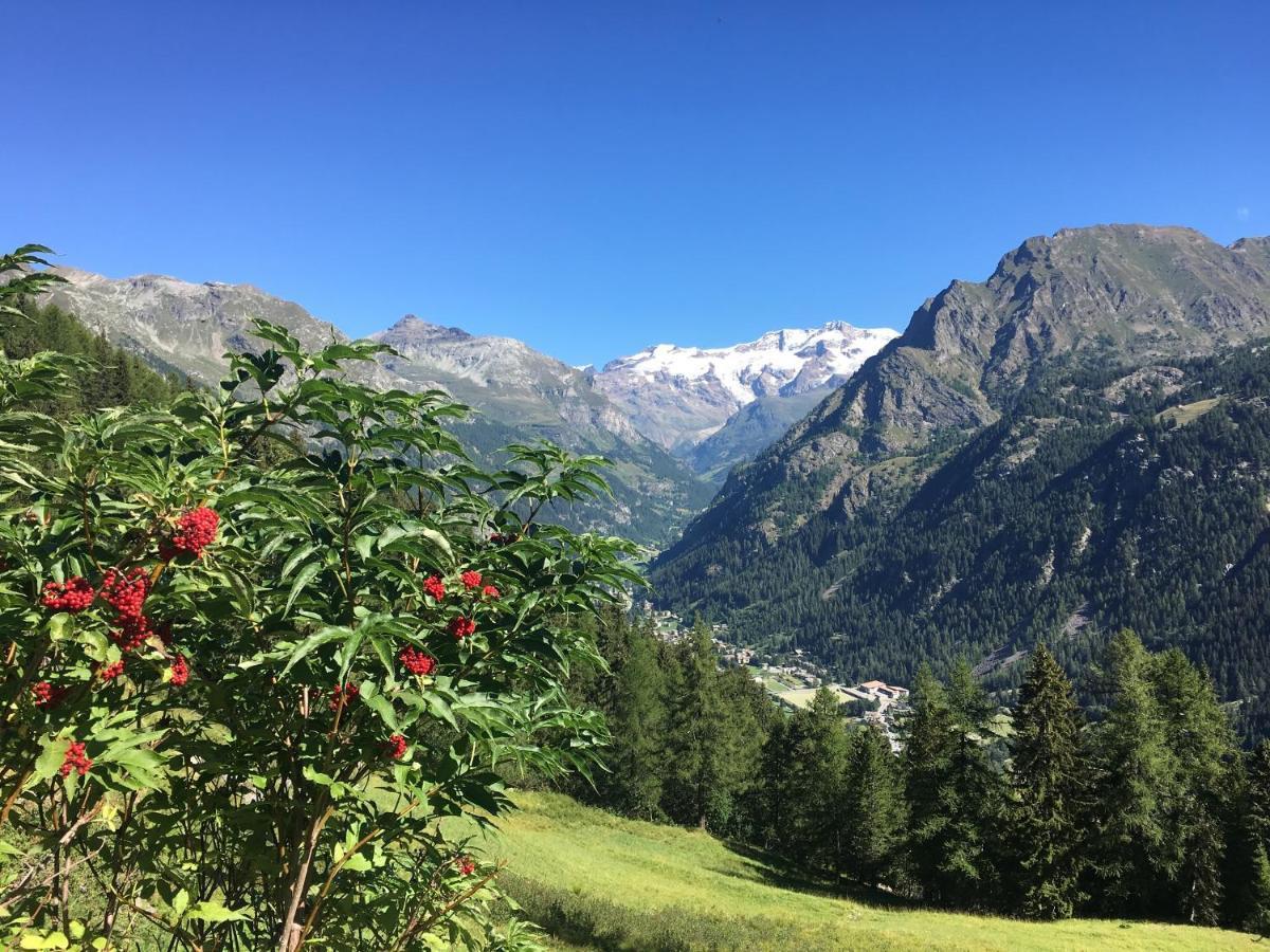 Baite Cialvrina Villa Gressoney-Saint-Jean Exterior foto