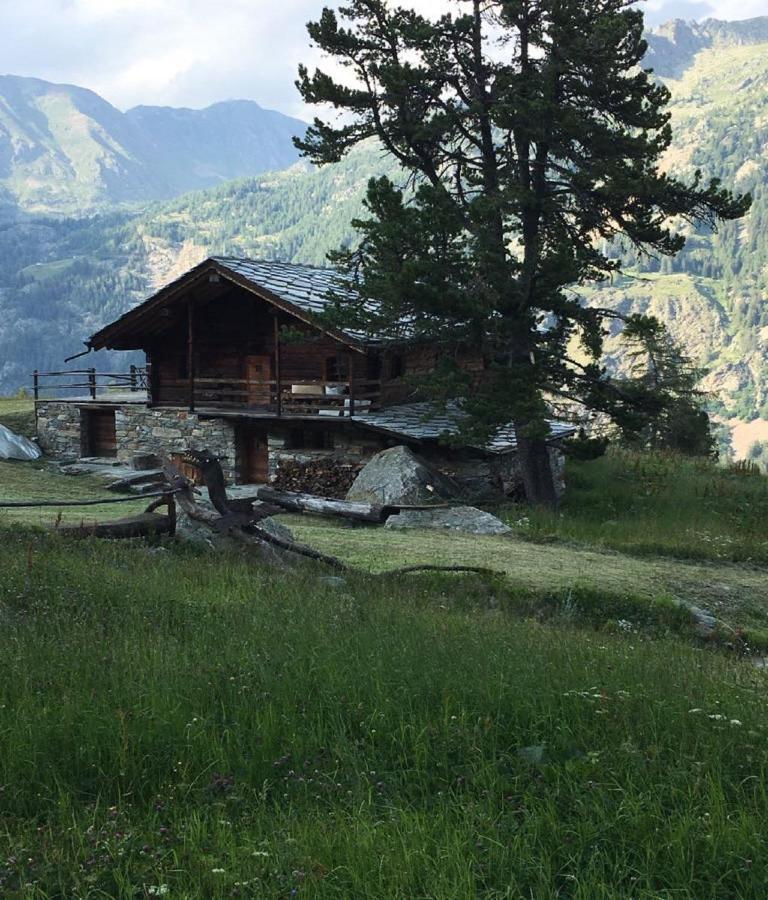 Baite Cialvrina Villa Gressoney-Saint-Jean Exterior foto